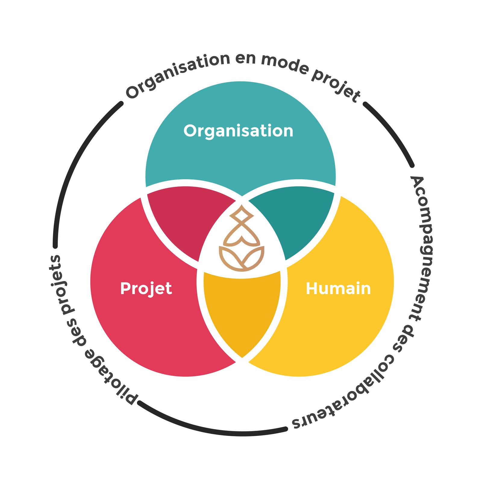 triptyque ikigaï projet, organisation, humain, pilotage de portefeuille de projet, organisation en mode projet, conduite du changement - formation